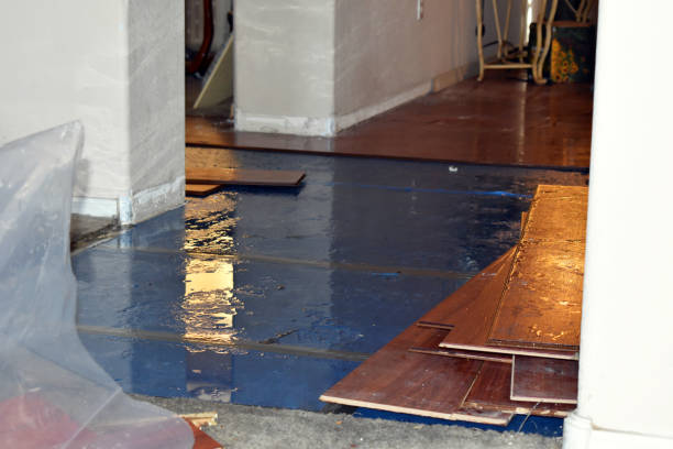 Professional Basement Flood Cleanup technician working in Jacobsburg, OH
